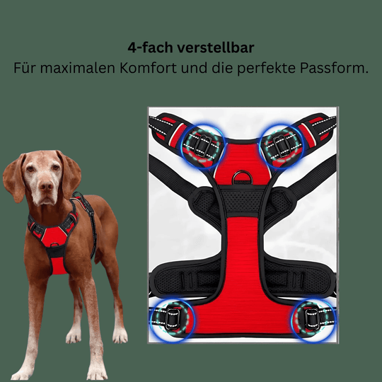 SafeWalk Pro — Premium Hundegeschirr ohne Ziehen mit Reflektoren