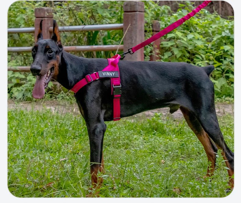 PullStop — Reflektierendes Anti-Zug-Hundegeschirr